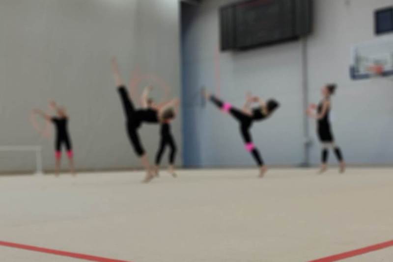  Merginų meninės gimnastikos rinktinės stovykla Druskininkuose