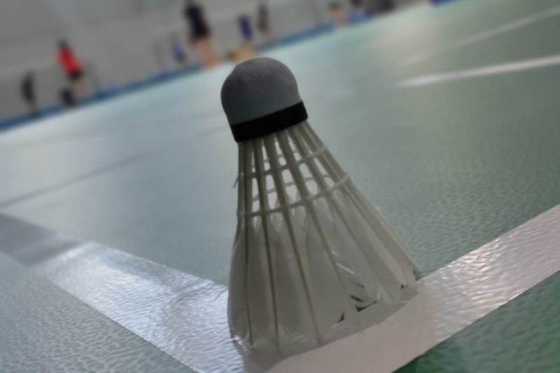 Jaunųjų badmintonininkų stovykla Druskininkuose